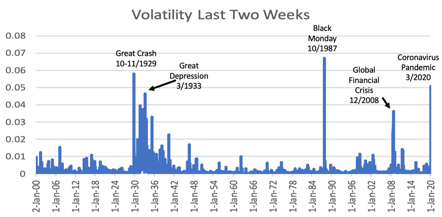 Pandemiconomics: Viral Volatility